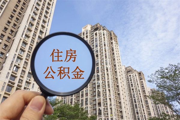 泰安离职多久可以取住房公积金(离职多久后能取公积金) 泰安离职多久可以取住房公积金(离职多久后能取公积金)